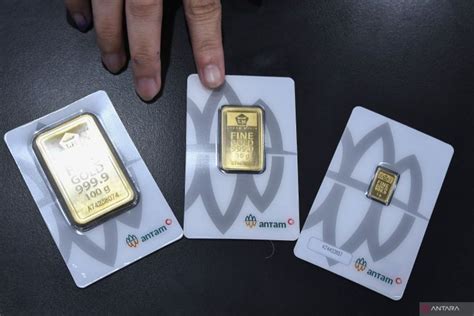 Galeri foto domino 99 uang asli Garansi penuh iTunes Digital Gift gold weekend hari ini di dapat diakses dari area member